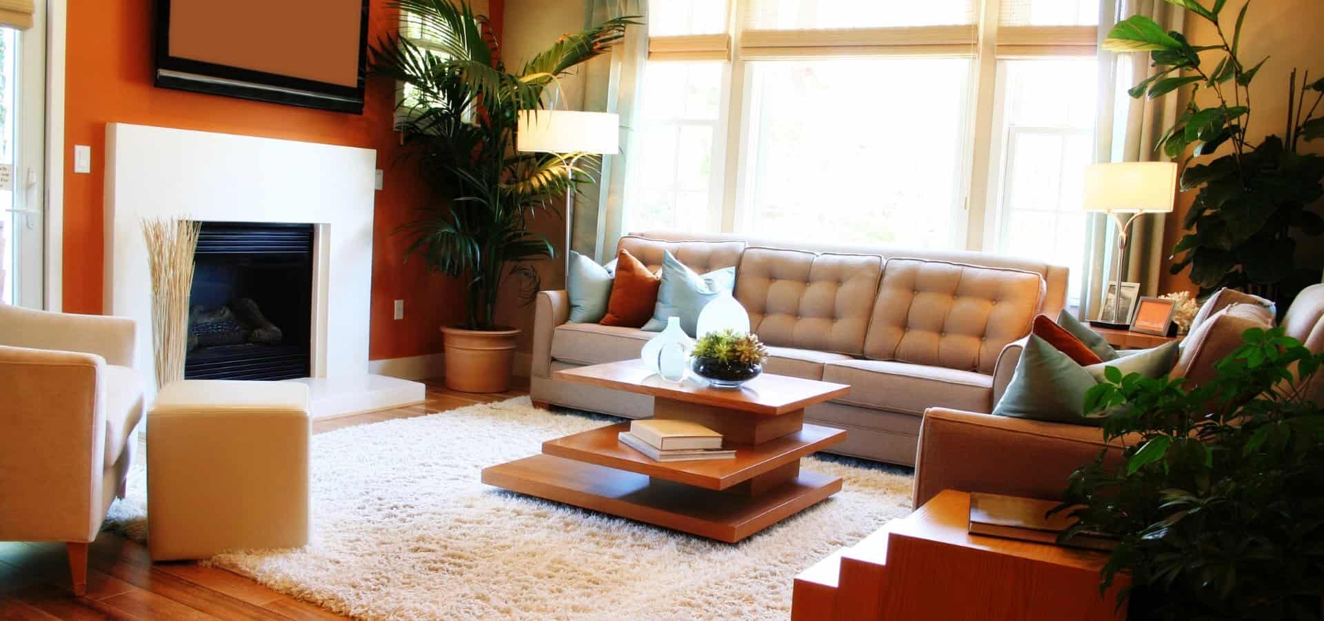 Downsized Living Room